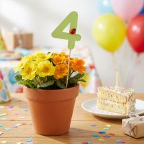 Product Number plugs birthday 4 flower plugs wood 27,5cm 16 pcs