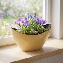 Product Plant boat yellow decorative bowl spring 20x9x12cm