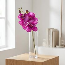 Product Orchid Artificial Phalaenopsis 4 Flowers Fuchsia 72cm
