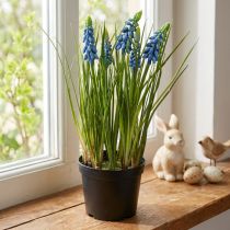Product Hyacinths artificial in pot blue 24cm