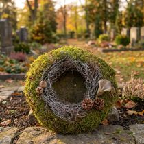 Product Moss wreath, decorative wreath, green moss with mouse-ear moss, natural, Ø30cm