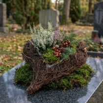 Product Vine heart for planting nature 30cm x 25cm