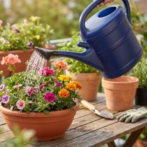 Product 10L watering can, garden can with rose, blue garden watering can