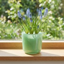 Product Glass pot Ø7.8cm H8cm mint green