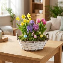 Product Planting basket, decorative basket, white with handles, 25cm