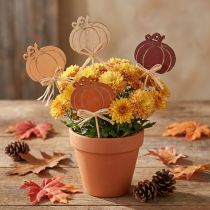 Product Wooden pumpkin flower stakes, orange and natural finish, 6.5x7cm, 12 pieces