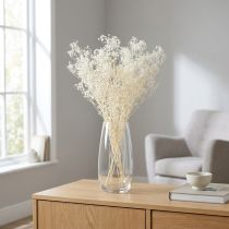Product Gypsophila White Dried Grasses Decoration Cream 65-70cm 100g