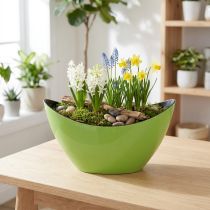 Product Plant boat green decorative bowl oval 20cmx9cmx12cm