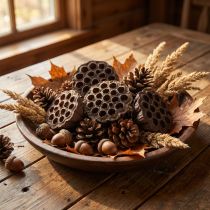 Product Lotus bulb large 100 pcs natural