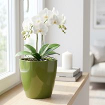 Product Orchid pot glossy Ø12.5cm olive green 1 pc