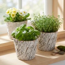 Product Bark-look plant pot, ideal for rustic interior design and plant decoration, 12cm, 4 pieces
