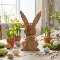 Product Wooden bunny sitting, mango wood, Easter decoration natural colors H18.5cm