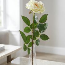Product Artificial rose, decorative rose, silk flower cream white, green L72cm Ø12cm