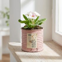Product Flower pot decorative tin round antique rose metal planter Ø8cm H7.5cm