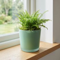 Product Glass flower pot green planter glass tub Ø11.5cm H11cm