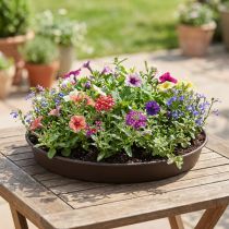 Product Plant ring "Rondino" Ø35-55cm, 1pce