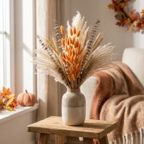 Product Lagurus Dried Rabbit's Tail Grass Apricot Decorative Dried Flowers 55-60cm 50g