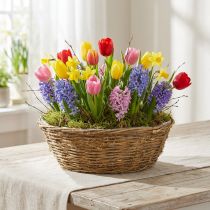 Product Large flower bowl, planting basket with vines, Ø40cm H13cm, natural decoration, table decoration, unique piece
