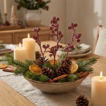 Product Eucalyptus branches red frosted natural decoration exotic 25 pieces