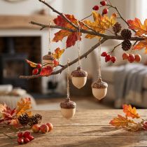 Product Hanging acorn decoration, autumn, natural/brown, 5.3x3.5cm, 12 pieces