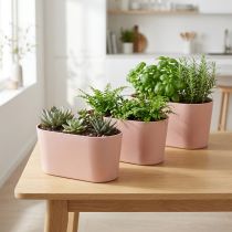 Product Plant bowl oval decorative bowl plastic pink-brown 20×10×11cm 3pcs