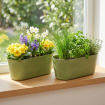Product Plant Bowl Oval Green Plastic Bowl 27×11×10cm 3pcs