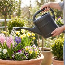 Product Watering can 5l anthracite