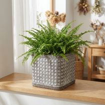 Product Planter Planter Ceramic Flowerpot 15×15×15cm