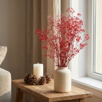 Product Gypsophila Dried Flowers Red 50cm 55g