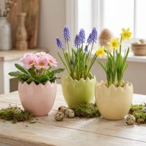 Product Egg-shaped flower pot with a broken edge for creative placement on windowsills and tables, 9cm, 3 pieces