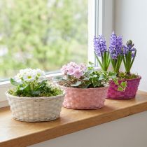 Product Chip basket round purple/white/pink Ø25cm 6 pcs