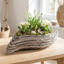 Product Planting boat plant wave rattan natural white 45x16cm
