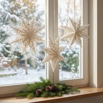 Product Star Snowflake Decorative Hangers White Paper Ø20cm Set of 6