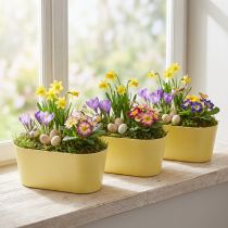 Product Plant bowl oval decorative bowl plastic yellow 27×11×10cm 3pcs