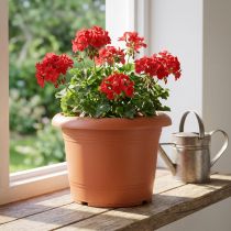 Product Plant pot "Oliver" terracotta Ø20cm