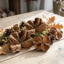 Product Landlotus Nature 50 pcs
