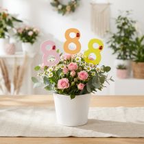 Product Anniversary number "8" Colorful number plug wood 7.5cm 16 pcs