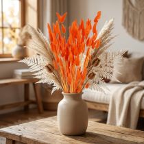 Product Orange hare's tail grass dried flower decoration 50-60cm 50g - Velvety Lagurus for table decoration & crafting