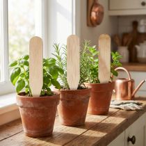 Product Garden stakes wooden bed stakes for herbs &amp; Co 10cm 12pcs