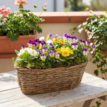 Product Oval planting basket, vine design, natural planting tray, 30cm long
