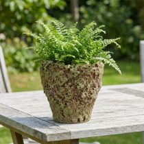 Product Plant pot rustic planter moss look Ø17cm H16.5cm