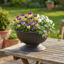 Product Bowl with base anthracite Ø30cm