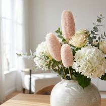 Product Luffa large on a stick bleached 25 pcs