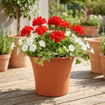 Product Pot “Irys” plastic terracotta Ø22cm H18cm 1 pc