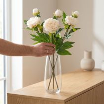 Product Long artificial peonies artificial flowers cream 70cm 3 pcs