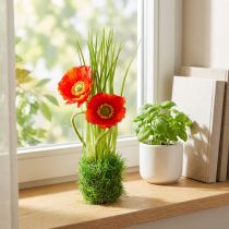 Product Poppy red in the grass 23cm