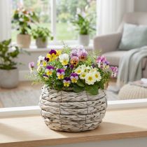 Product Plant basket flower pot white rustic Ø17cm H11cm decoration