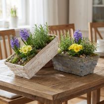 Product Chip basket set white, gray, brown 8 pieces 20cm x 11cm