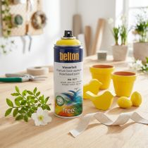 Product Belton free water varnish yellow high gloss spray rapeseed yellow 400ml