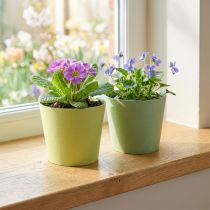 Product Paper pot, mini plant pot, cachepot blue/green Ø9cm H7.5cm 4pcs